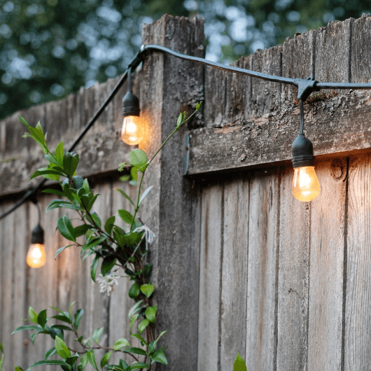 EzyGarden™ Festoon Lights